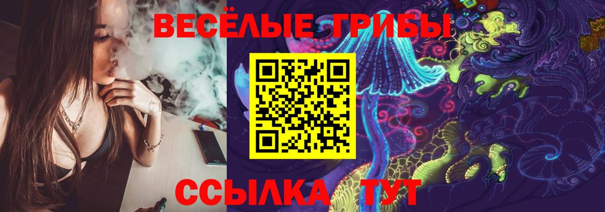 Псилоцибиновые грибы мицелий  Галлюциногенные грибы Psilocybe  Дятьково  Вход с VPN 
